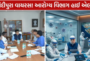 Chandipura Virus Cases: આરોગ્ય વિભાગ હાઈ એલર્ટ