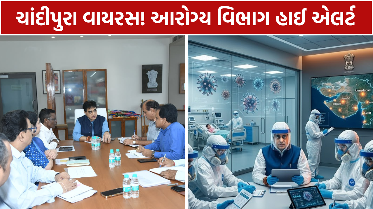 Chandipura Virus Cases: આરોગ્ય વિભાગ હાઈ એલર્ટ