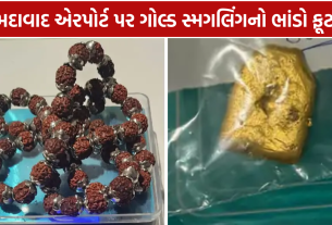 DRI Gold Seizure: સોનાની દાણચોરીનો પર્દાફાશ