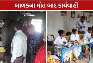 Chandipura Virus: બાળકોનું સ્ક્રીનિંગ શરૂ