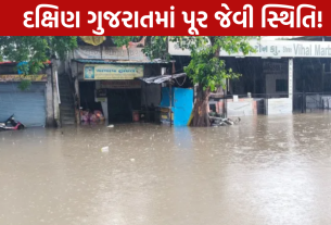 Valsad Heavy Rain: હર્ષ સંઘવી પહોંચ્યા મેદાને