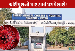 Patan Chandipura Virus: 5 વર્ષીય બાળકનું મોત