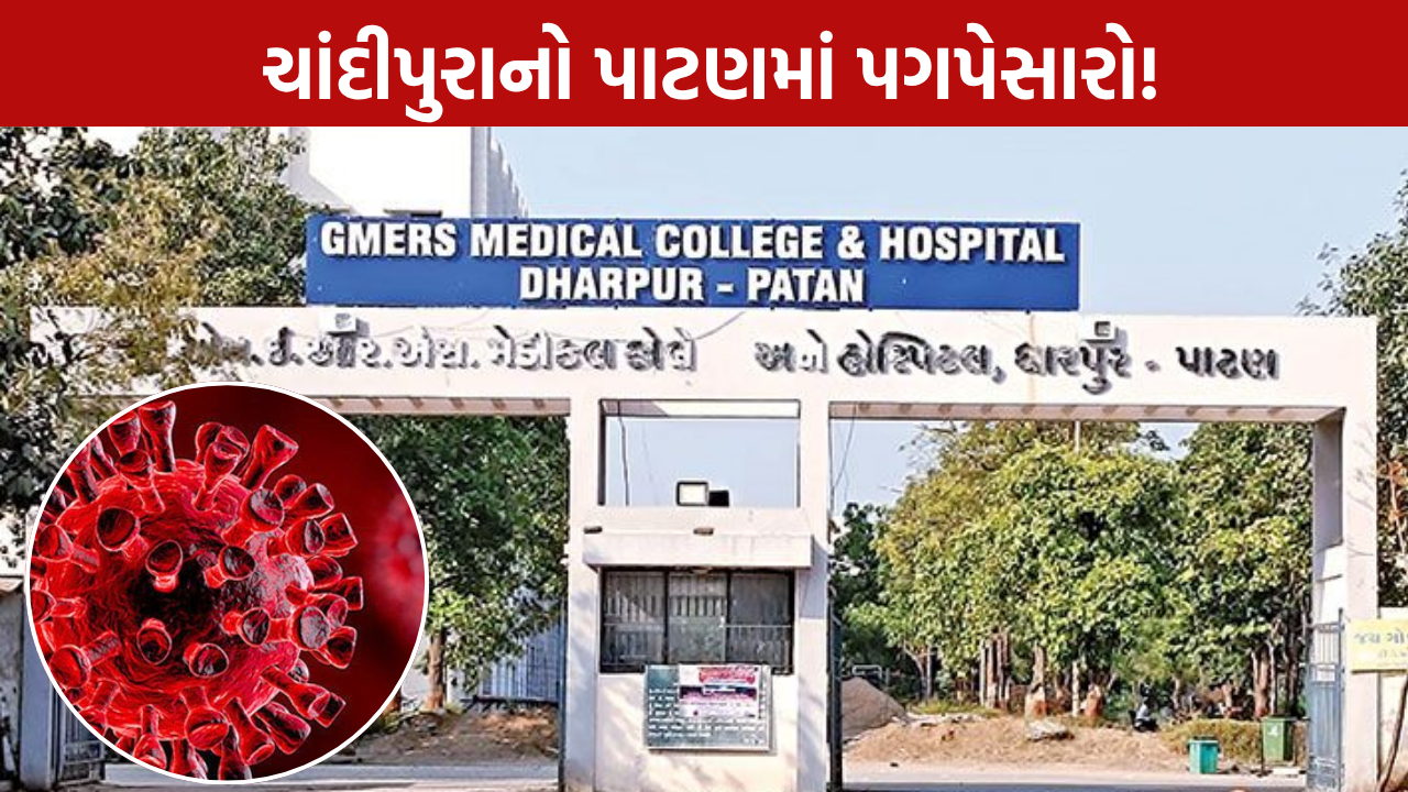 Patan Chandipura Virus: 5 વર્ષીય બાળકનું મોત