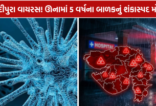 Chandipura Virus Gujarat: ઊનામાં 5 વર્ષના બાળકનું મોત