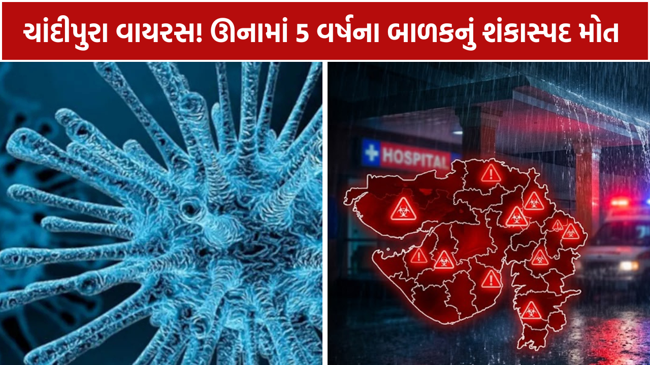 Chandipura Virus Gujarat: ઊનામાં 5 વર્ષના બાળકનું મોત