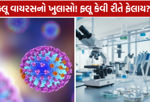 Influenza Virus: ફ્લૂ કેવી રીતે ફેલાય?