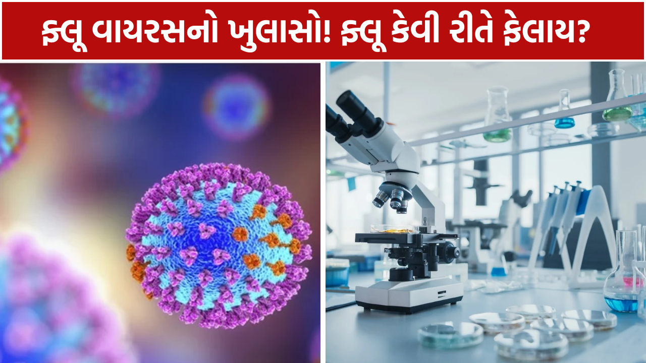 Influenza Virus: ફ્લૂ કેવી રીતે ફેલાય?