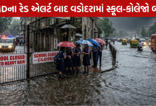 Vadodara Rain Alert: 31 જુલાઈએ શૈક્ષણિક કાર્ય બંધ
