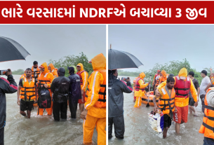 Valsad Flood: ભારે વરસાદમાં રેસ્ક્યુ