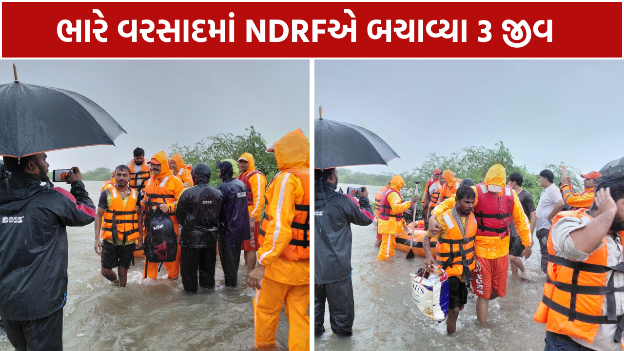Valsad Flood: ભારે વરસાદમાં રેસ્ક્યુ