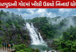 Ninai Waterfall: ચોમાસાની મેહરથી ખીલી ઉઠ્યો