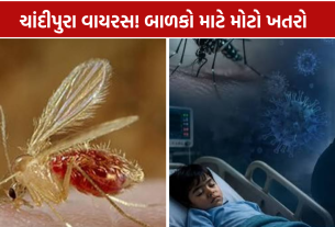 Chandipura Virus Ahmedabad: 4 વર્ષના બાળકનો રિપોર્ટ પોઝિટિવ