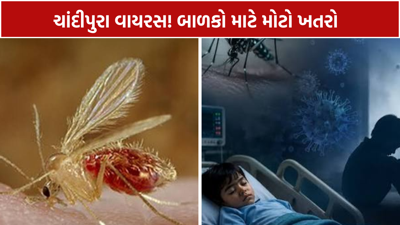 Chandipura Virus Ahmedabad: 4 વર્ષના બાળકનો રિપોર્ટ પોઝિટિવ