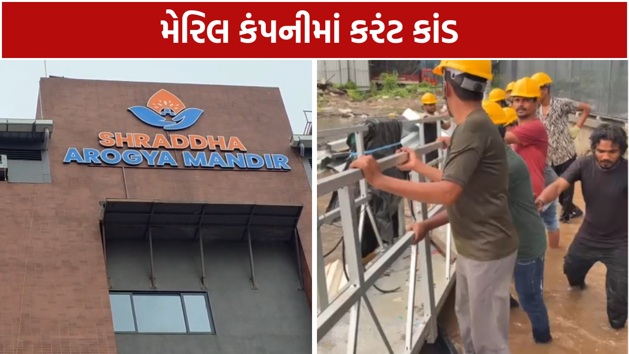 Meril Company Accident: કરંટથી 1નું મોત, 7 ઘાયલ