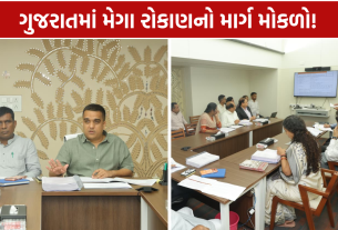 Gujarat Industrial Projects: 2,999 કરોડના રોકાણને મંજૂરી