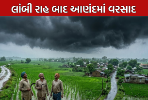 Anand Heavy Rain: આણંદમાં મેઘમહેર