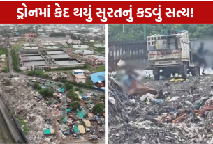 Garbage Dump Surat: રૂ.150 કરોડના પાર્ક સામે કચરાનો પહાડ