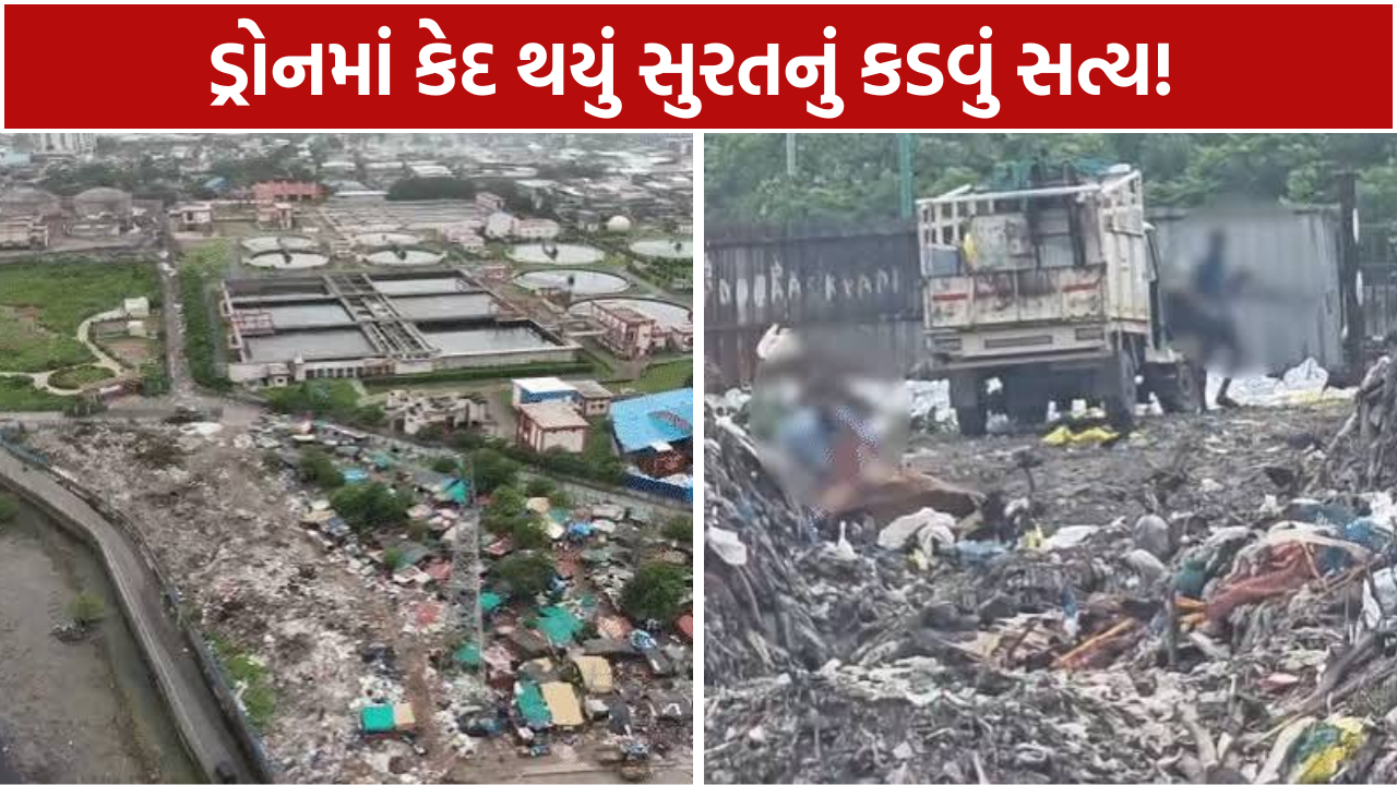 Garbage Dump Surat: રૂ.150 કરોડના પાર્ક સામે કચરાનો પહાડ