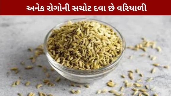 Fennel seeds