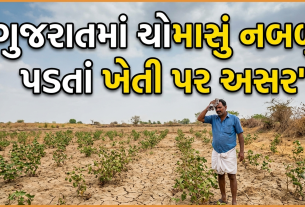 gujarat