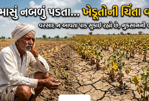 Monsoon update