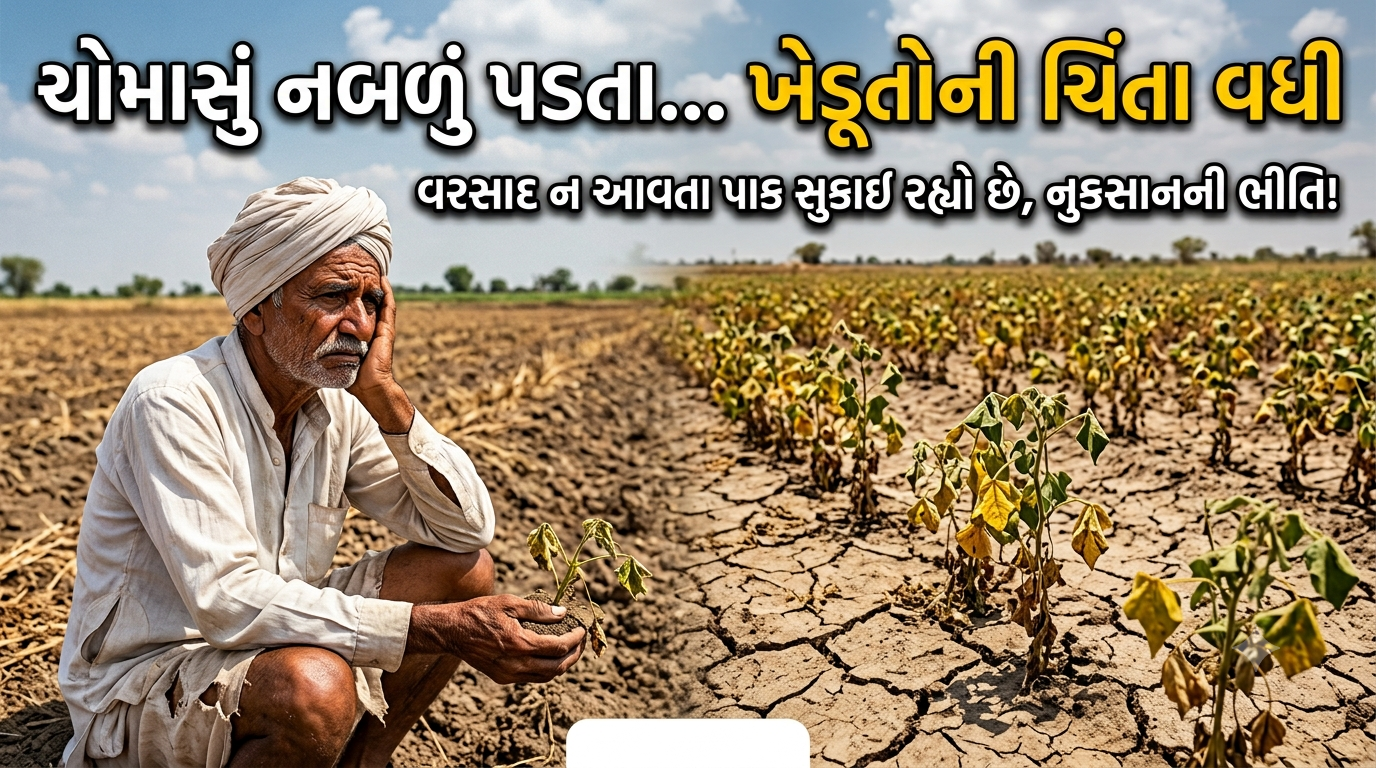 Monsoon update
