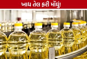 Gujarat Edible Oil Price:રસોડાનું બજેટ ફરી ખોરવાયું! ખાદ્ય તેલના ભાવમાં સતત વધારો