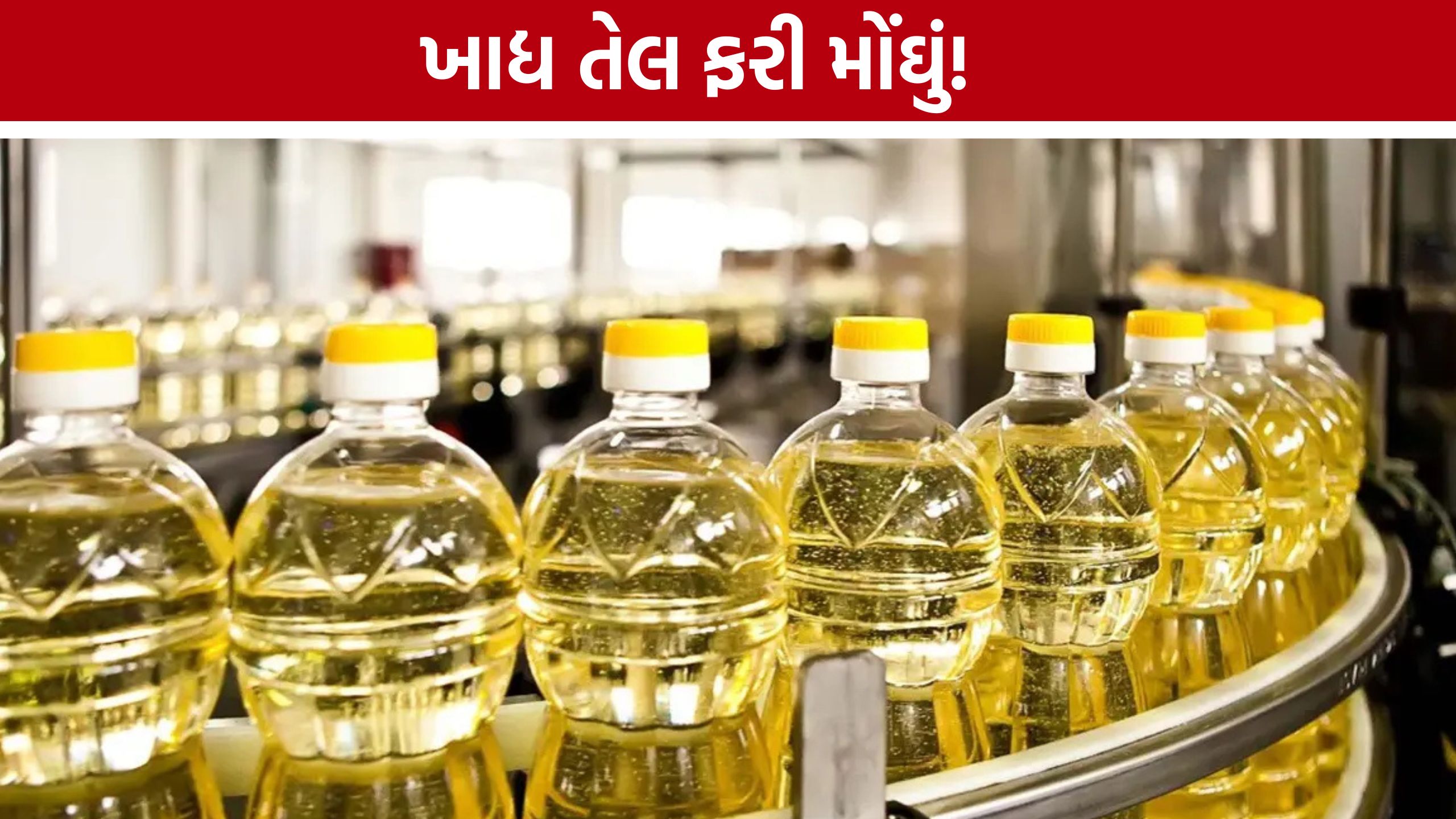 Gujarat Edible Oil Price:રસોડાનું બજેટ ફરી ખોરવાયું! ખાદ્ય તેલના ભાવમાં સતત વધારો
