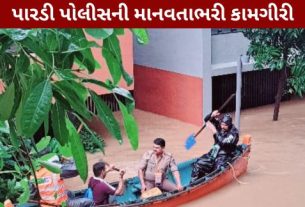 દક્ષિણ ગુજરાતમાં વરસેલા અતિભારે વરસાદે (Heavy Rain)વલસાડ (Valsad)જિલ્લામાં ભારે તારાજી સર્જી છે