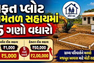 Land Levelling Assistance