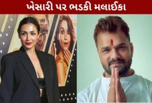 Malaika Arora lashes out at Khesari.