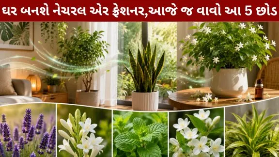 The house will become natural air freshener.
