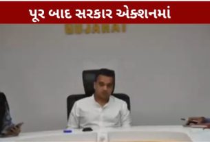 દક્ષિણ ગુજરાતમાં અતિભારે વરસાદ અને પૂર (Valsad Flood)ની વિકટ પરિસ્થિતિ વચ્ચે રાજ્ય સરકાર સંપૂર્ણપણે એક્શનમાં આવી ગઈ છે