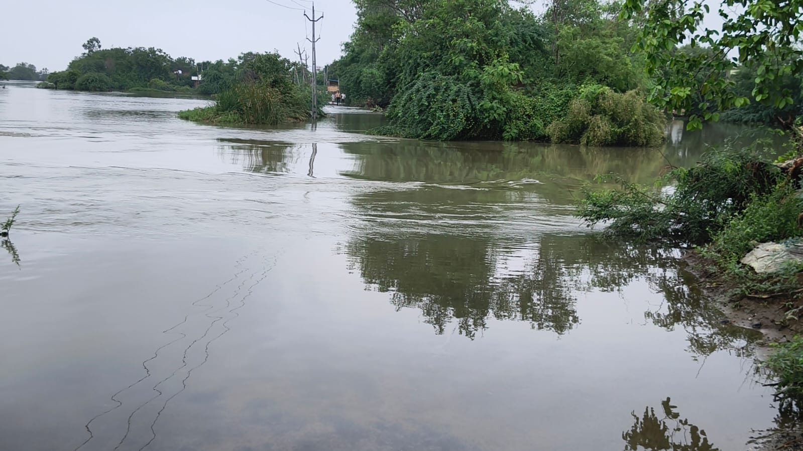 Gujarat Flood Update: જિલ્લાઓમાં પૂર જેવી સ્થિતિ