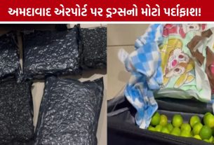 ટ્રોલી બેગમાં લીંબુ વચ્ચે છુપાવ્યો હતો Hydroponic Ganja, અમદાવાદ એરપોર્ટ પર મુસાફર ઝડપાયો