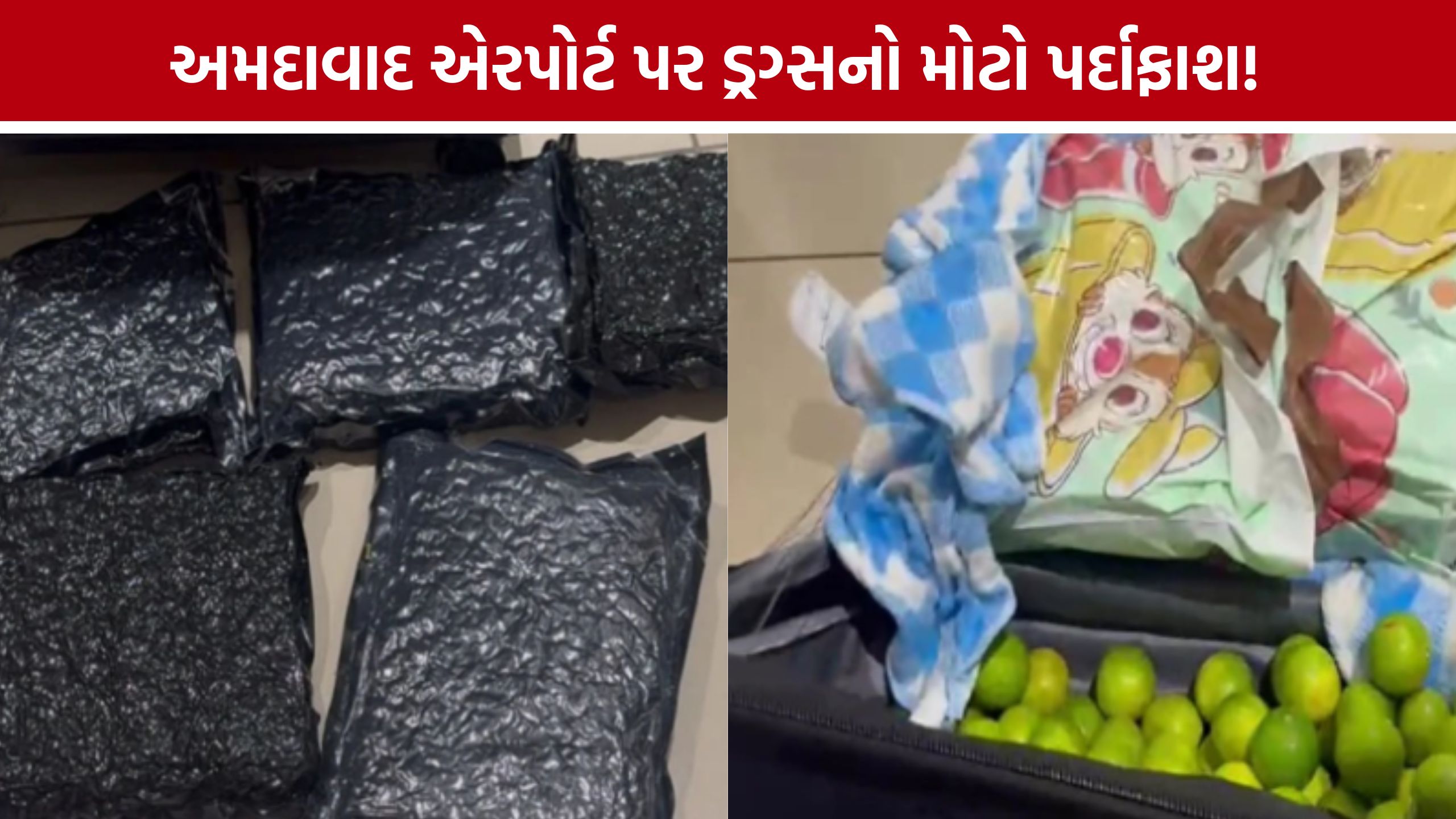 ટ્રોલી બેગમાં લીંબુ વચ્ચે છુપાવ્યો હતો Hydroponic Ganja, અમદાવાદ એરપોર્ટ પર મુસાફર ઝડપાયો