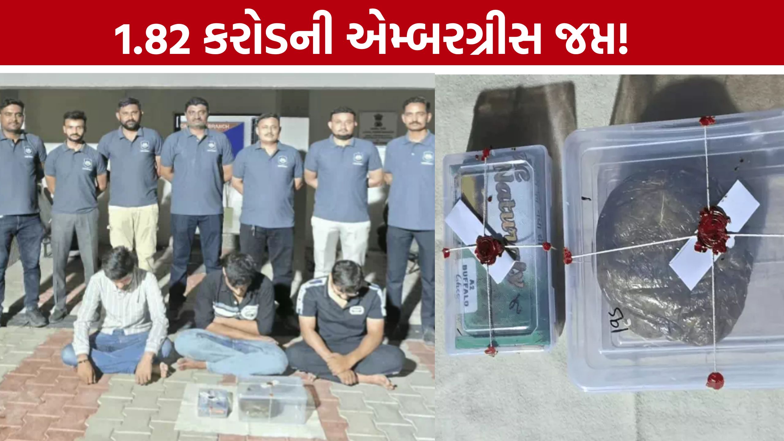 Ahmedabad Ambergris Case : મોજશોખ માટે કરોડોની એમ્બરગ્રીસ વેચવા નીકળ્યા