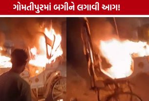 Horse Cart Fire: ગોમતીપુરમાં મોડીરાત્રે આગજનીનો બનાવ