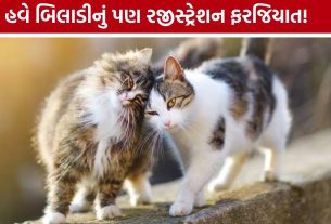 Ahmedabad Pet Cat Registration, માટે માત્ર ₹200માં ઓનલાઈન નોંધણી