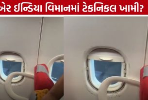 Air India Flight: વિન્ડો ગ્લાસ કવર નીકળતા મુસાફરોને બીજી સીટ પર ખસેડાયા