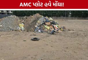 AMC Plot Rent: ગરબા, લગ્ન અને સીઝનલ ધંધા માટે AMC પ્લોટ હવે થશે મોંઘા