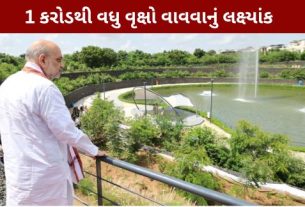 ગાંધીનગર લોકસભા – હરિયાળી લોકસભા’ સંકલ્પ સાથે આગામી 12 જુલાઈ 2026, રવિવારના રોજ મોટા પાયે સામૂહિક વૃક્ષારોપણ (Tree Plantation)અભિયાનનું આયોજન કરવામાં આવ્યું છે