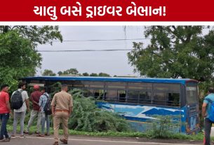 Amreli Ahmedabad ST Bus Accident:40થી વધુ મુસાફરોના જીવ જોખમમાં મૂકાયા