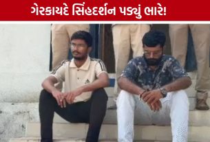 Illegal Lion Show બાદ હુમલો, પુરાવા ડિલીટ કરવાનો પ્રયાસ પણ સામે આવ્યો