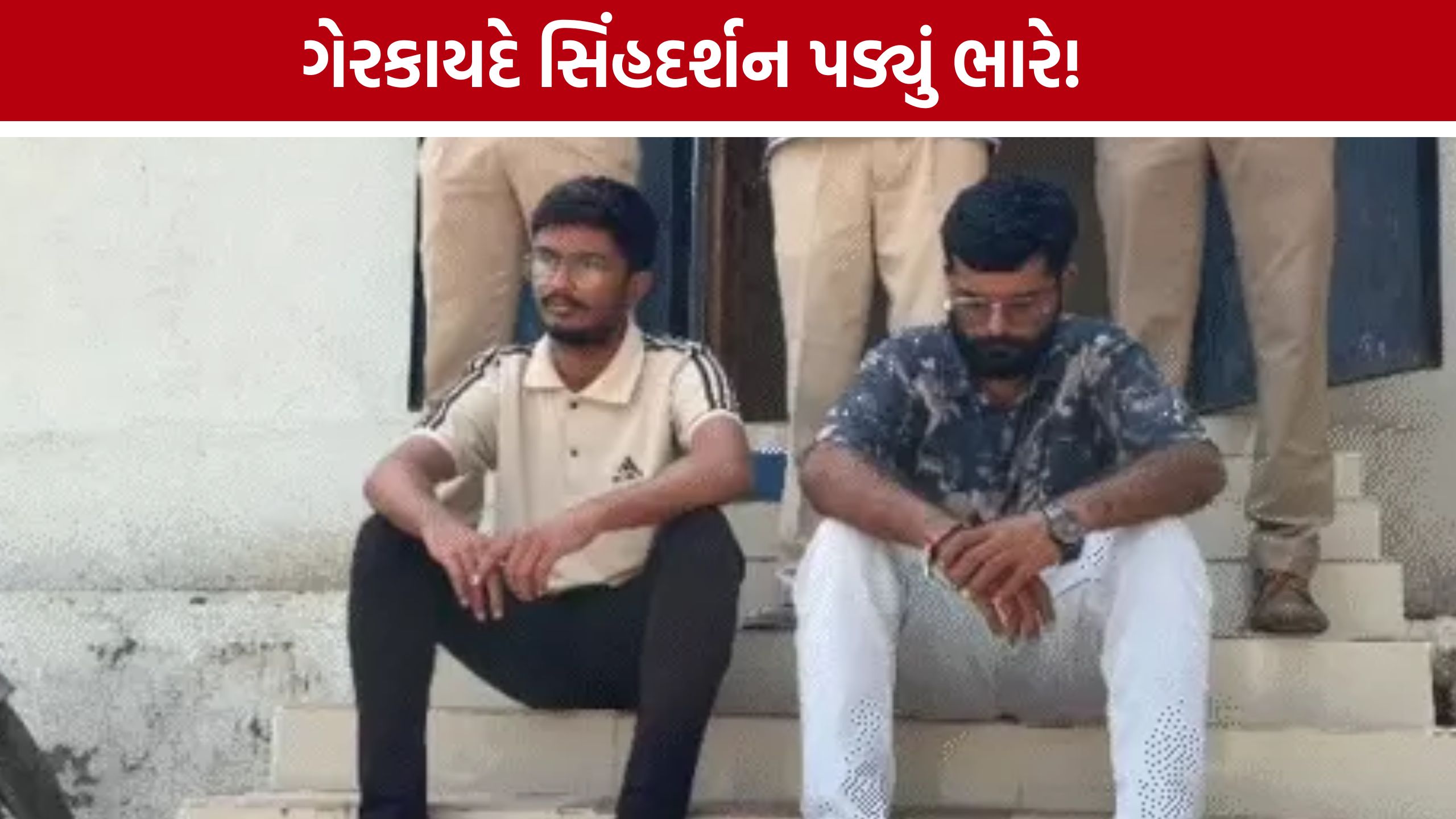 Illegal Lion Show બાદ હુમલો, પુરાવા ડિલીટ કરવાનો પ્રયાસ પણ સામે આવ્યો