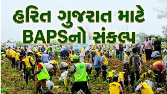 અમદાવાદ (Ahmedabad)ના ભાડજ ખાતે રવિવારે સવારે 8:00 થી 12:00 દરમિયાન '5 મિલિયન ટ્રી પ્રોજેક્ટ' અંતર્ગત વિશાળ વૃક્ષારોપણ (Tree Plantation)કાર્યક્રમ યોજાયો.