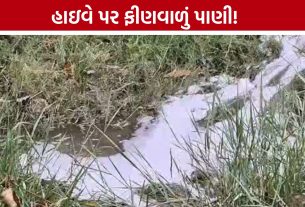 Chemical Pollution:બાવળા-ચાંગોદર હાઇવે પર કેમિકલયુક્ત પાણી છોડાયાની આશંકા