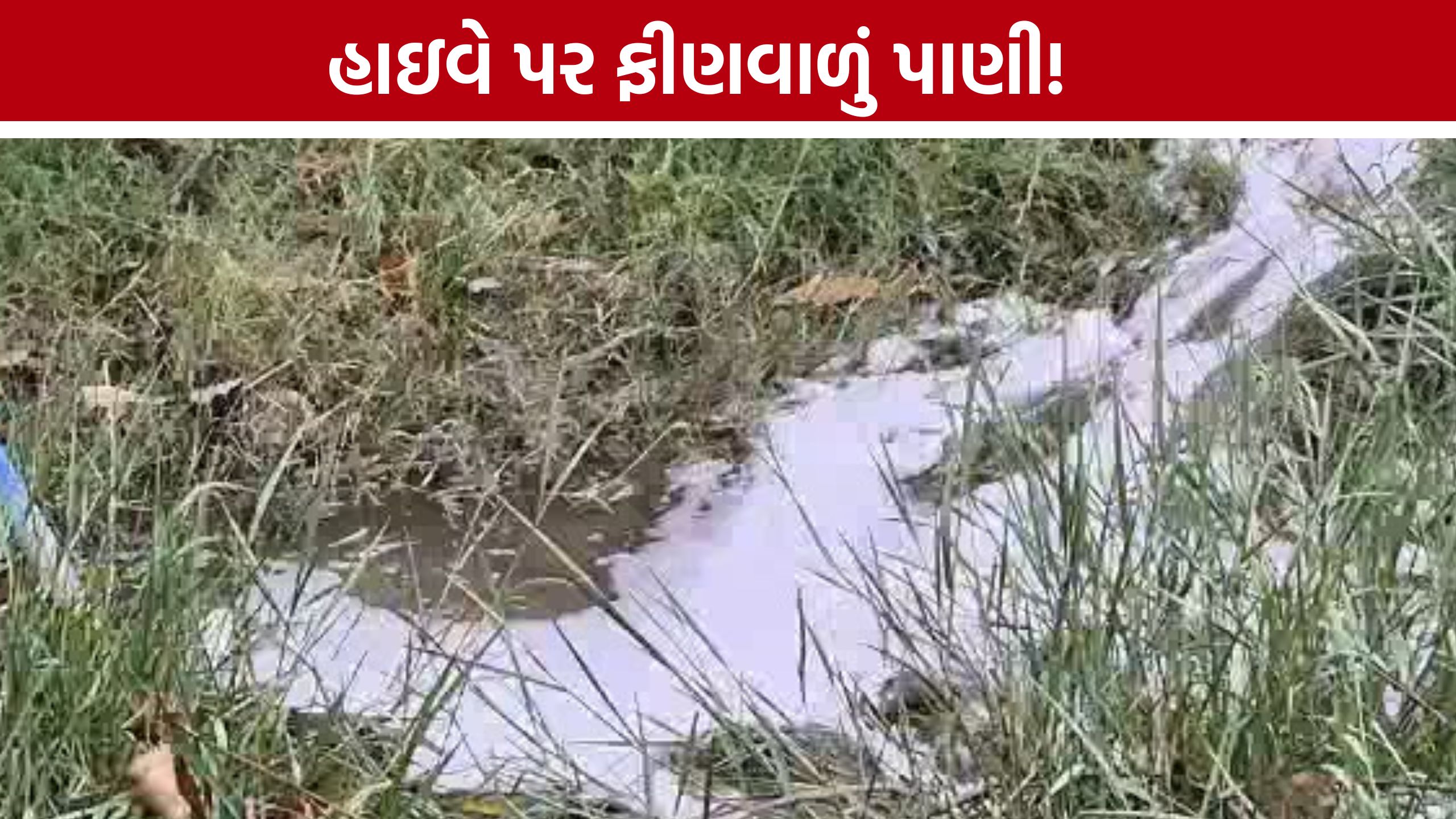 Chemical Pollution:બાવળા-ચાંગોદર હાઇવે પર કેમિકલયુક્ત પાણી છોડાયાની આશંકા
