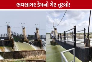 ભાવનગરમાં Bhavsagar Damનો 15 નંબરનો ગેટ તૂટ્યો, પૂરના જોખમે તંત્ર સતર્ક
