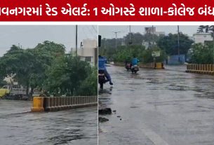 Bhavnagar Red Alert: ભારે વરસાદની આગાહી વચ્ચે ભાવનગર જિલ્લામાં સ્કૂલ-કોલેજો બંધ